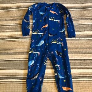 Ocean Hanna Andersson zip-up sleeper pajamas